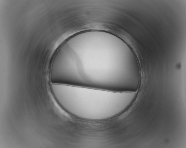 X0000112801141200908210957