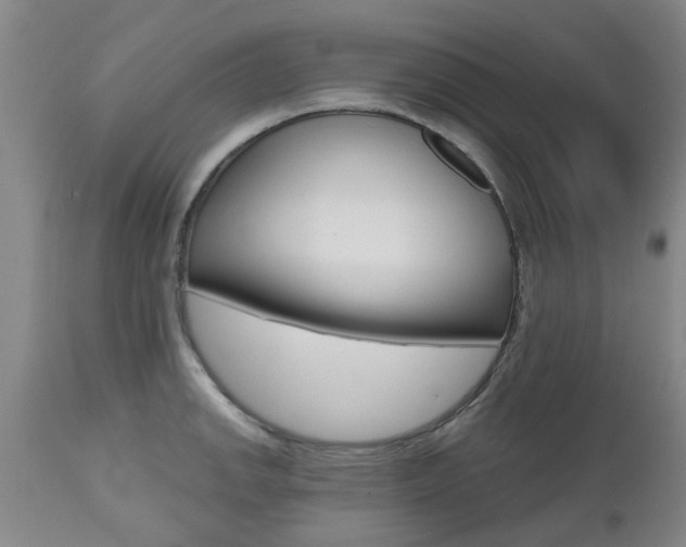 X0000112801142200908210957