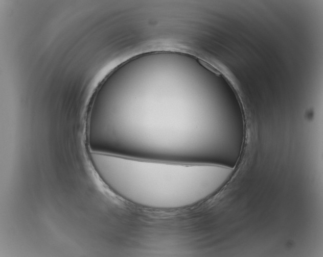 X0000112801144200908210957