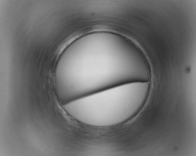 X0000112801145200908210957