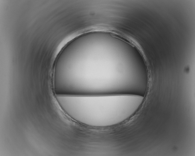 X0000112801146200908210957