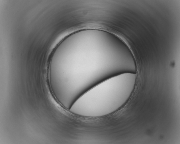 X0000112801147200908210957