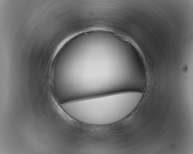 X0000112801148200908210957