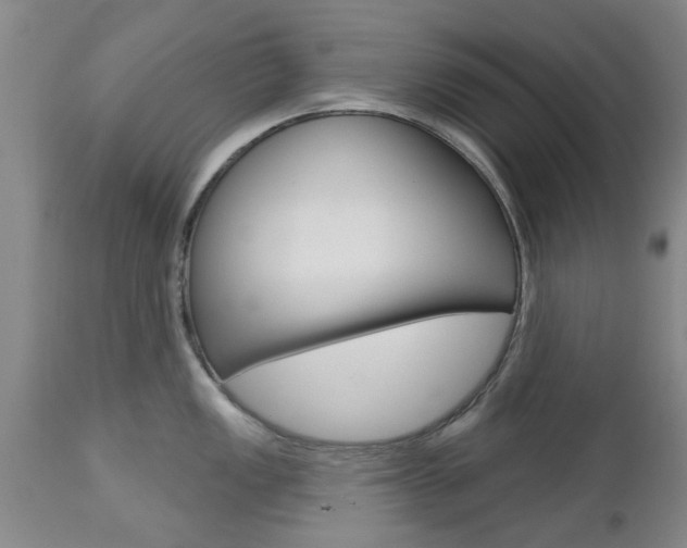 X0000112801149200908210957