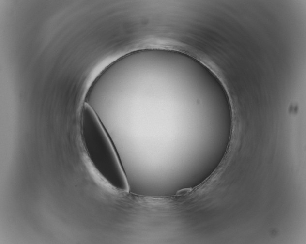 X0000112801152200908210957