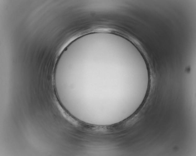 X0000112801194200908210955