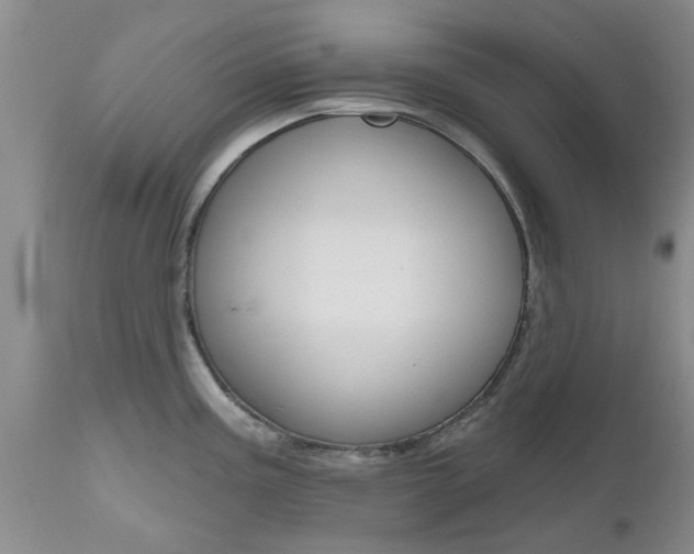 X0000112801195200908210955