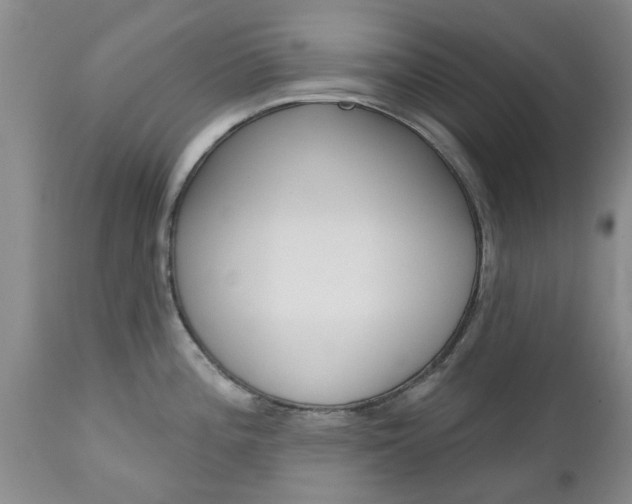 X0000112801196200908210955