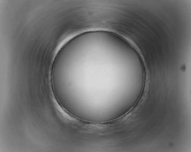 X0000112801197200908210955