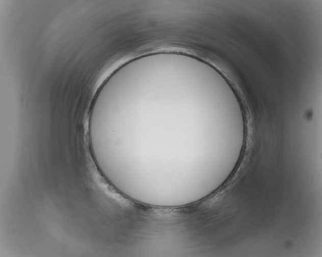 X0000112801198200908210955