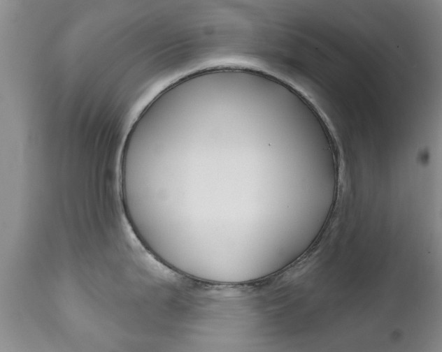 X0000112801199200908210955