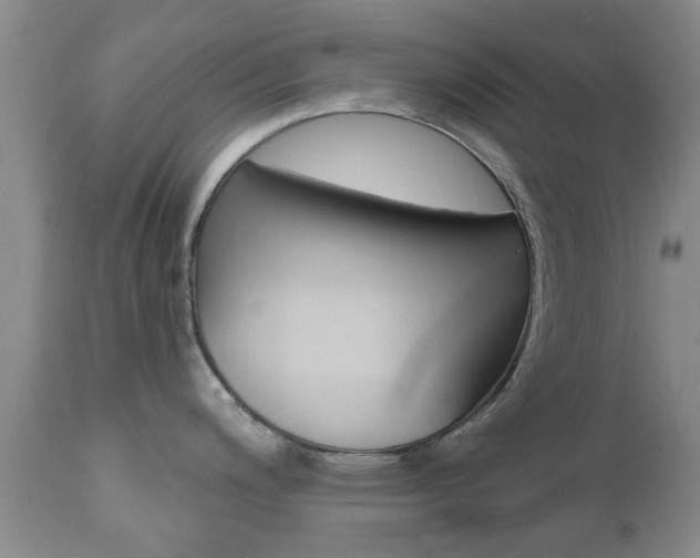 X0000112801200200908210955