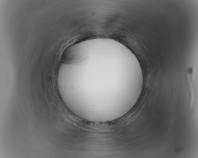 X0000112801201200908210955
