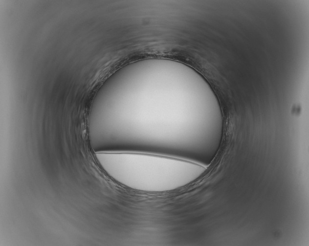 X0000112801202200908210955