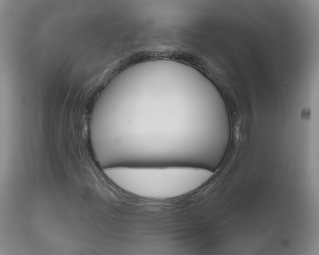 X0000112801204200908210955