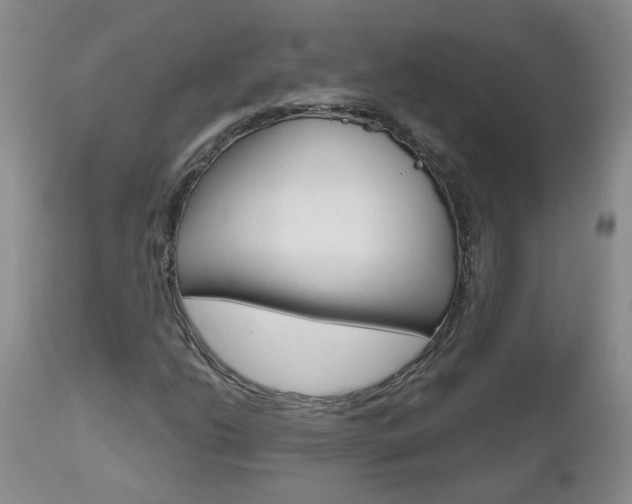 X0000112801206200908210955