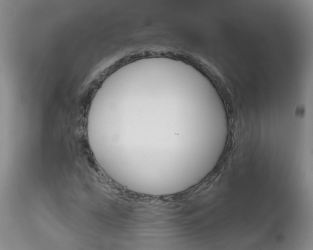X0000112801207200908210955