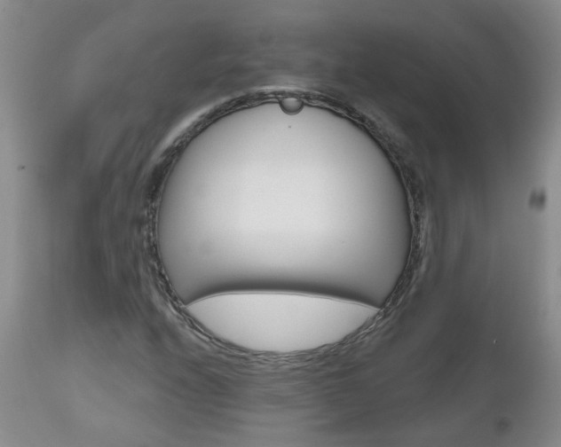 X0000112801208200908210955