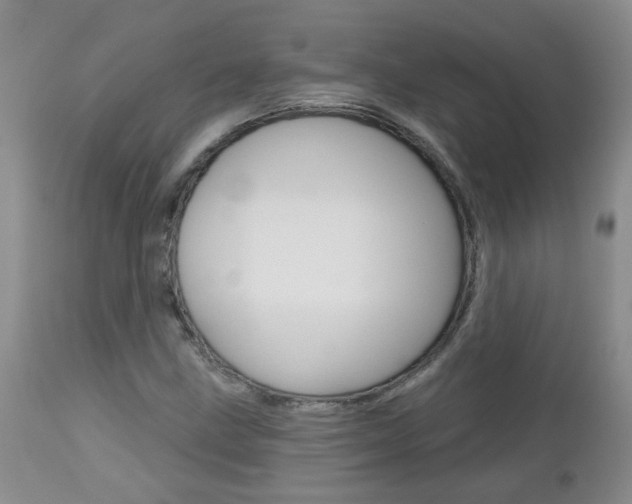 X0000112801211200908210955