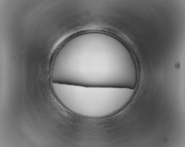 X0000112801216200908210955