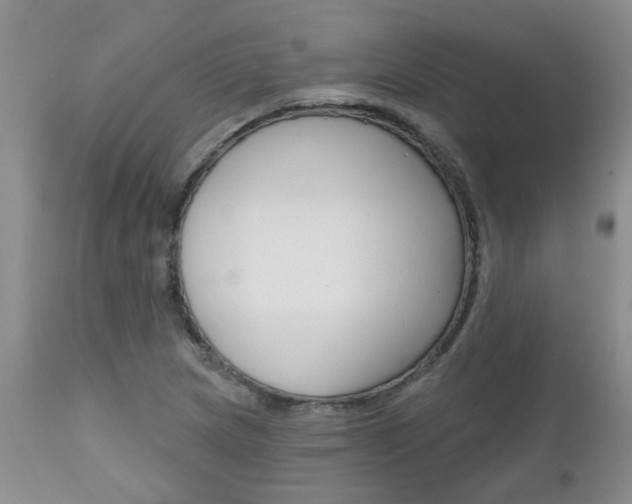 X0000112801217200908210955