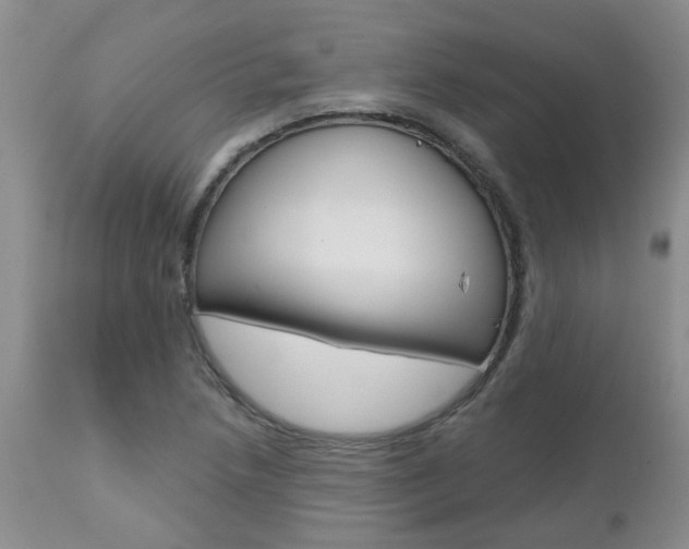 X0000112801218200908210955