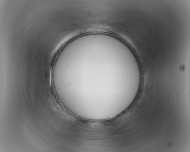 X0000112801219200908210955