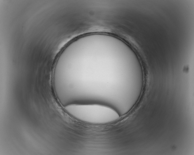 X0000112801220200908210955