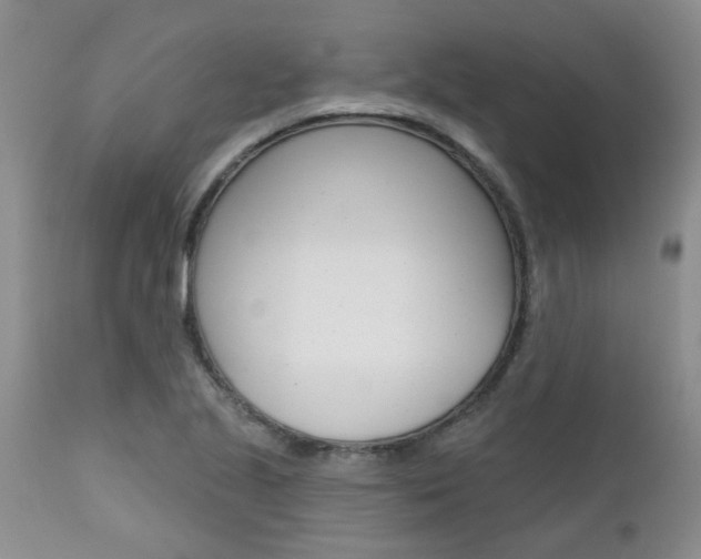 X0000112801221200908210955