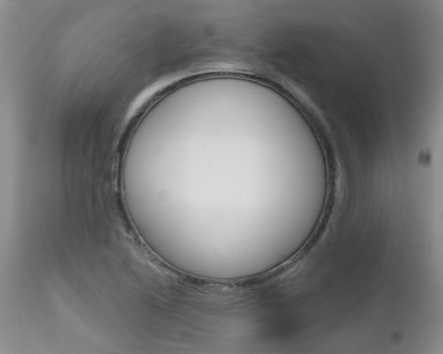 X0000112801222200908210955