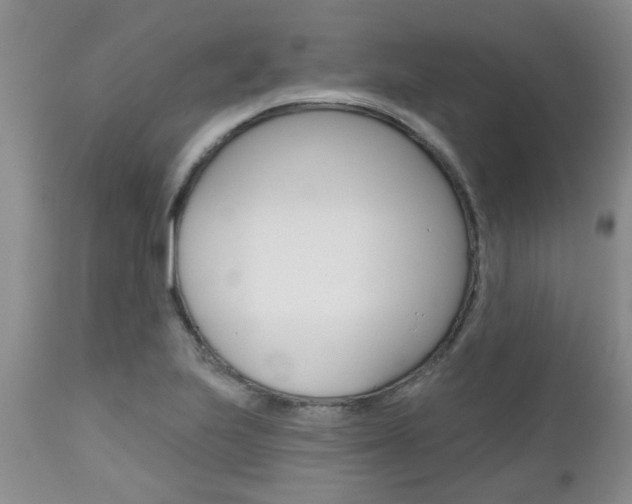 X0000112801223200908210955