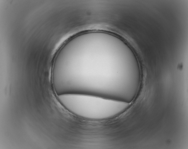 X0000112801224200908210955