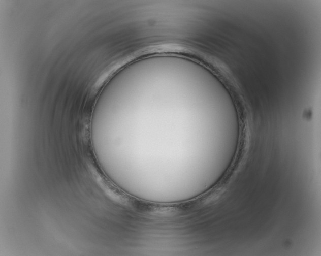 X0000112801225200908210955