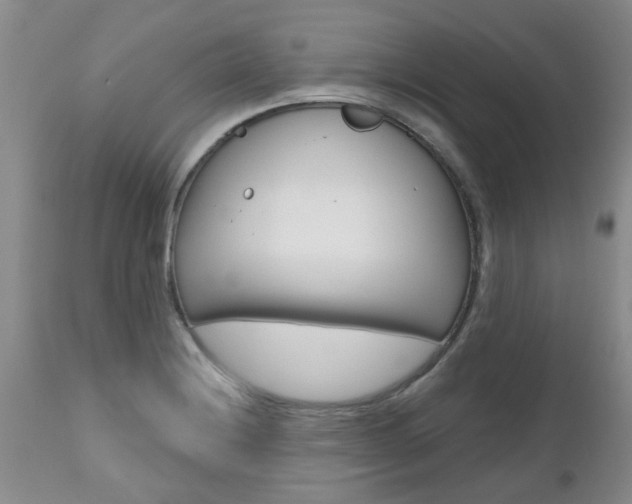 X0000112801228200908210955