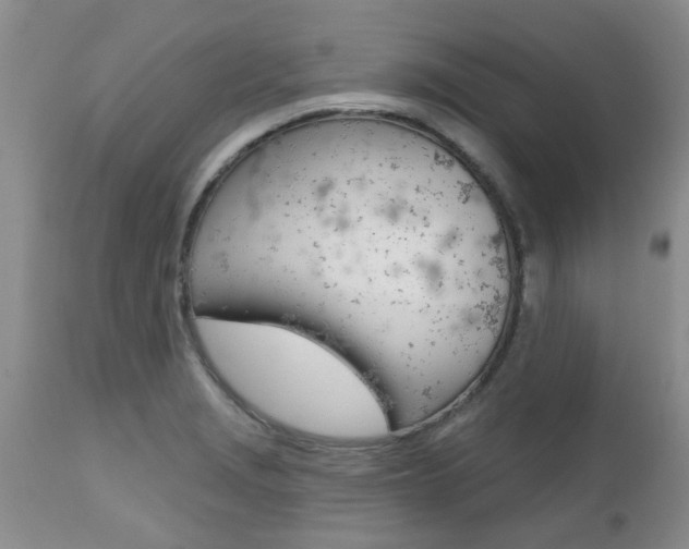 X0000112801229200908210955