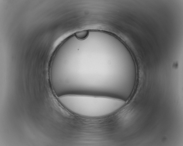 X0000112801230200908210955