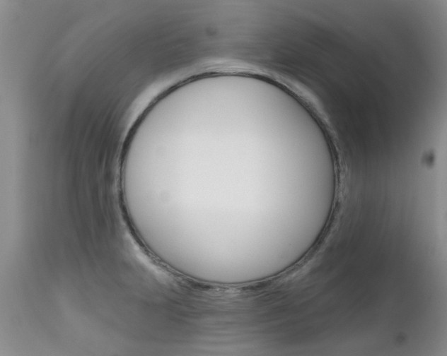 X0000112801231200908210955