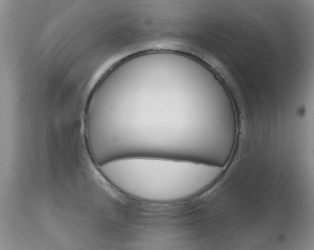 X0000112801232200908210955