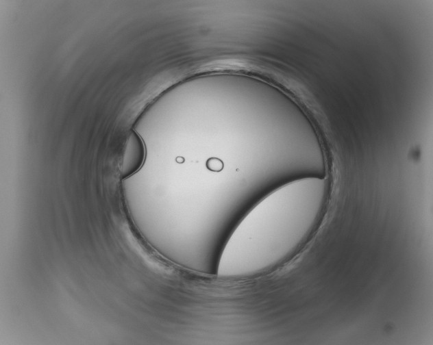X0000112801233200908210955