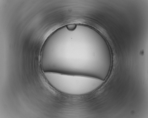 X0000112801234200908210955