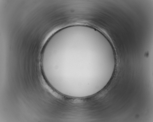 X0000112801235200908210955