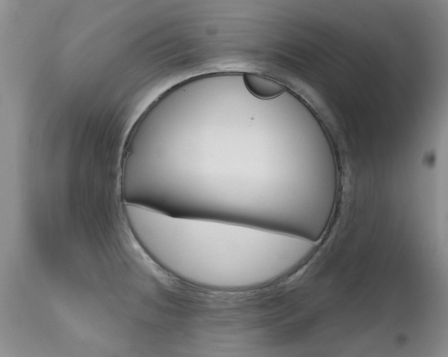 X0000112801236200908210955