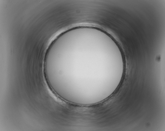 X0000112801237200908210955
