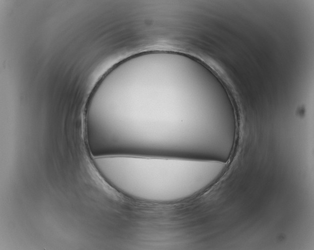 X0000112801238200908210955