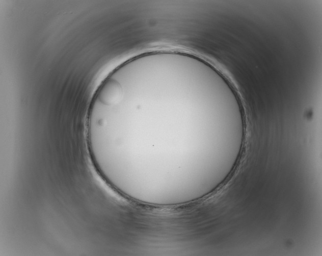 X0000112801239200908210955
