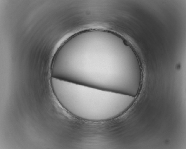 X0000112801240200908210955