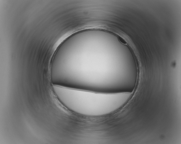 X0000112801242200908210955
