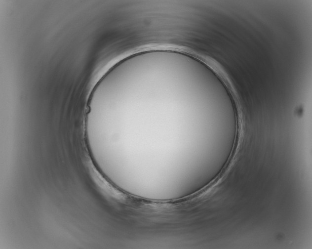 X0000112801244200908210955