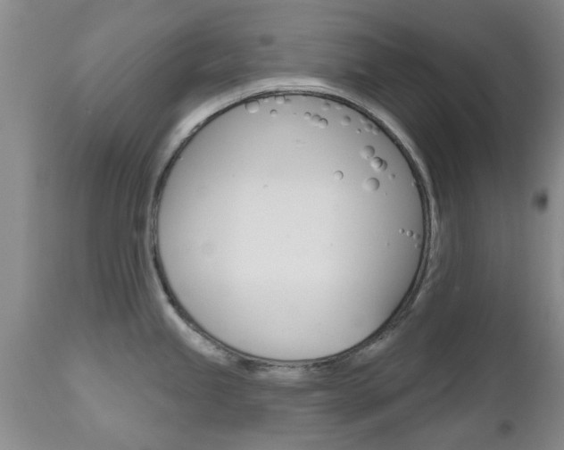X0000112801245200908210955