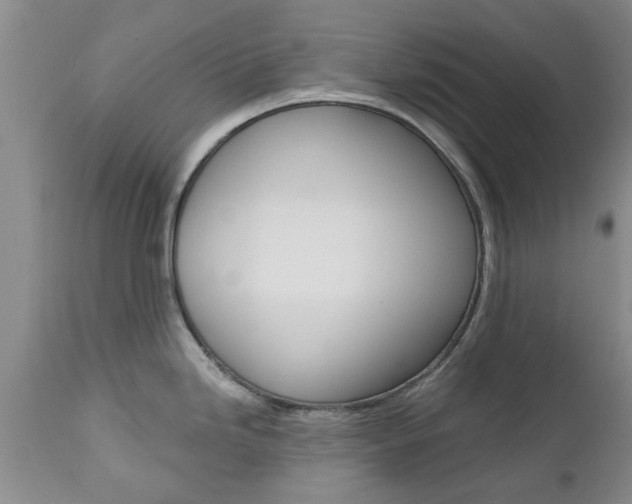 X0000112801246200908210955